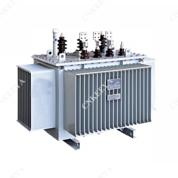 S11-M-30-2500/10 Transformador de distribución trifásico sin excitación sumergido en aceite y totalmente sellado